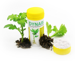 Dynaroot Dynaroot Rooting Hormone Powder - No. 2 - Power Greens